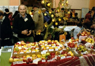 Mirko Veić na izložbi starih sorti jabuka
