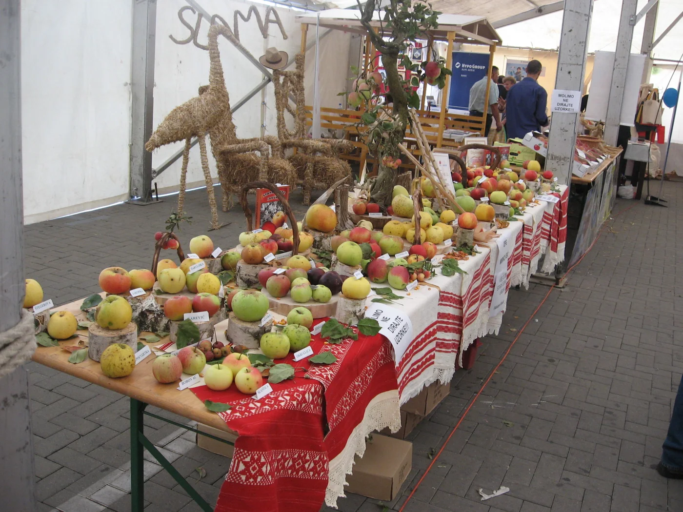 Dani jabuka 2011
